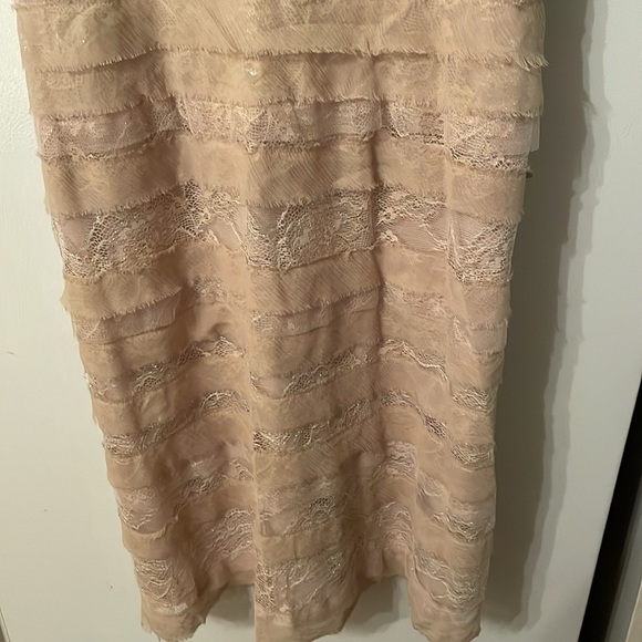 NWT BCBGMaxazria Medium Strapless Dress Champagne - Picture 5 of 15